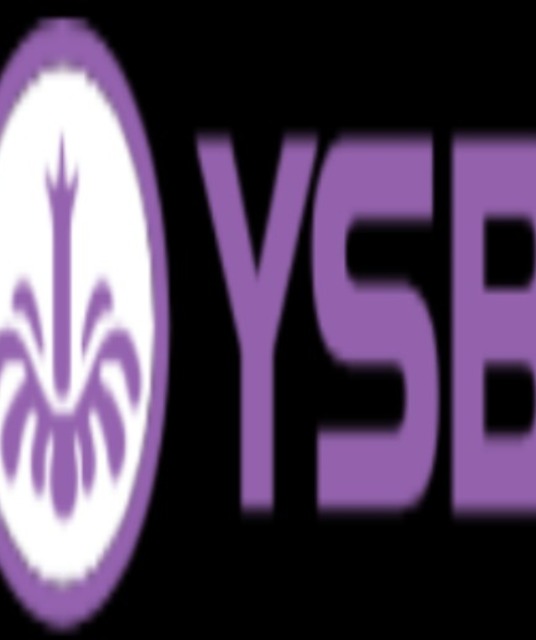 avatar Ysb66