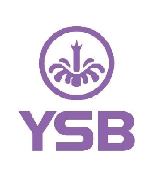 avatar YSB66