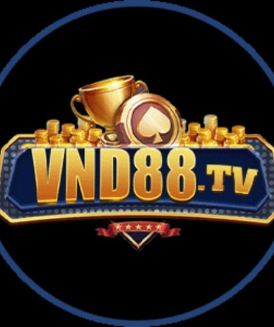 avatar vnd88