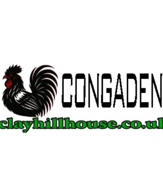 avatar CONGADEN  TRỰC TIẾP ĐÁ GÀ THOMO