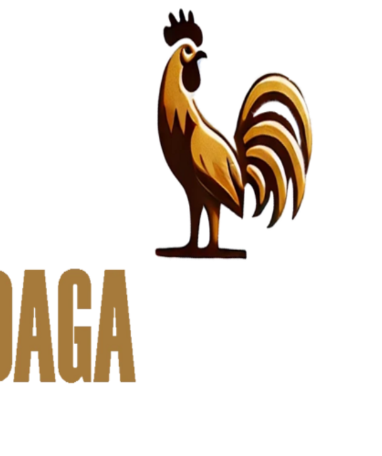 avatar ĐÁ GÀ TRỰC TIẾP