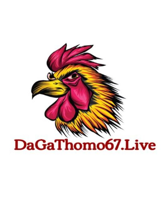 avatar ĐÁ GÀ THOMO