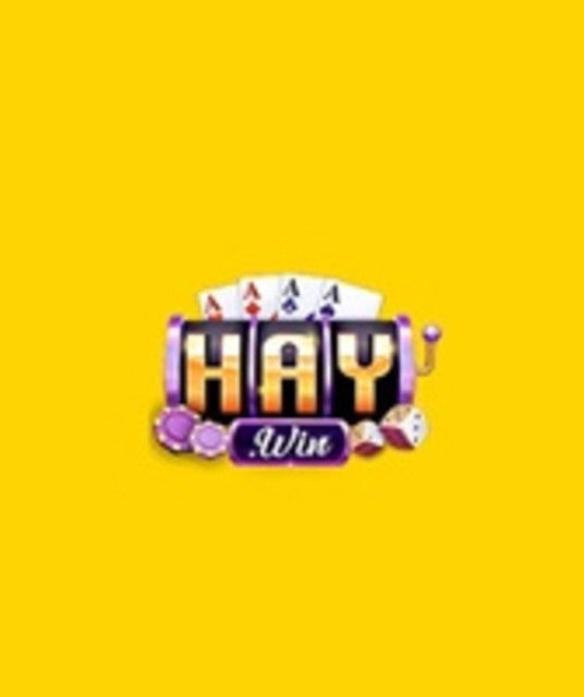 avatar Haywin1 fund