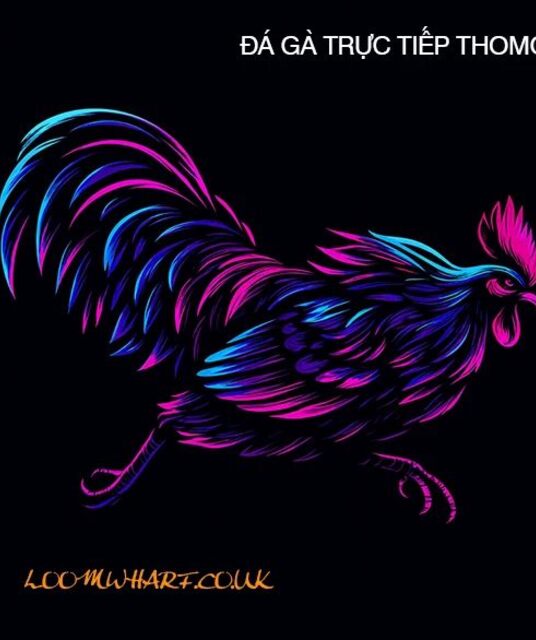 avatar ĐÁ GÀ TRỰC TIẾP THOMO