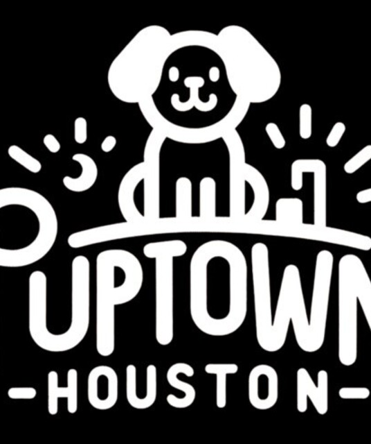 avatar Puppy training