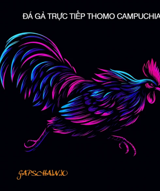 avatar ĐÁ GÀ TRỰC TIẾP THOMO 